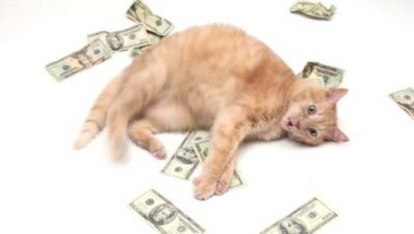 5 ocuu 12 torunu var ama 250 bin dolarini kedilere brakt...