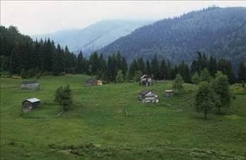 <p><b>Trabzon</b></p>  2013 nfusu: 759.089  <p>2014 nfusu: 760.058</p>  2015 nfusu: 760.758  <p>2016 nfusu: 761.228</p>  2017 nfusu: 761.458  <p>2018 nfusu: 761.454</p>  2019 nfusu: 761.222  <p>2020 nfusu: 760.786</p>  2021 nfusu: 760.126  <p>2022 nfusu: 759.241</p>  2023 nfusu: 758.130