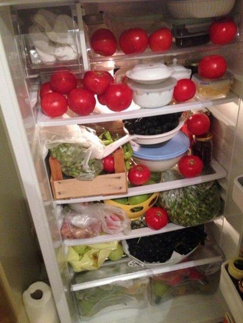 Suyu km yarm kilo yourtlu zamanlar bile zleten buzdolaplar