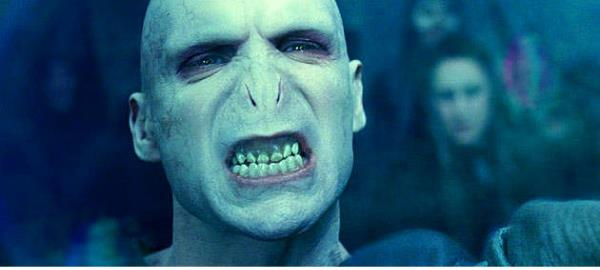 Ralph Fiennes (Harry Potter and the Goblet Of Fire, 2005)