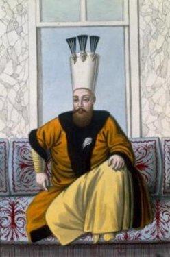 1. Mahmud'un bilinen eleri ise Hace Ali-cenab, Hace Aye Kadn, Hace Verd-i Naz, Hatice Rami Haseki, Hatem Kadn, Raziye Kadn, Ba kbal Meyyase Hanm, Fehmi Hanm, Habbabe Hanm ve Srr Hanm'dr.