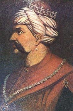 mr savalarda geen Yavuz Sultan Selim'in ise yalnzca iki ei oldu. Aye Htn, Mengli Giray'n kzyd ve iki kz ocuk dnyaya getirdi. Aye Hafsa (Hfize) Valide Sultan ise, Kanuni Sultan Sleyman, Hatice, Fatma ve Hafsa Sultanlarn annesidir.