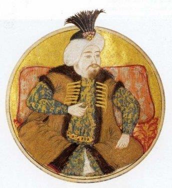 2. Mustafa'nn 9 ei olduu, bunlardan Ali-cenab'n Ba Haseki olduu biliniyor. h-Svar (ehsuvar) Vlide Sultan ise 4. Haseki'ydi ve olu III. Osman tahta getiinde Valide Sultan olmutu. Saliha Sebkti Vlide Sultan da saraydaki cariyelerdendi ve I. Mahmut?un annesiydi. 2. Mustafa'nn dier eleri Hma ah Haseki, Afife Haseki, Hatice Haseki, Hafsa Sultan (nc Haseki olduu syleniyorsa da Kadn Efendi olmas kuvvetle muhtemeldir), Hanife Htn ve Fatma ahin Htn'dur.