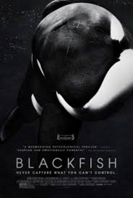 10-Blackfish. Trkiye gsterim tarihi belirsiz
