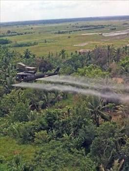 <p><b>Ajan Portakal</b></p>  Vietnam Sava srasnda 1961-71 yllar arasnda kullanlan gl bir bitki ilac olan Ajan Portakal Vietnam?n kaln bitki rtsn zayflatp dman askerlerini ortaya karmay hedefliyordu. Bu amata baarl da oldu ama ok yksek bir bedel karlnda: lacn insanlar zerinde kullanlmasnn kansere, doum kusurlarna ve bir dizi baka bozuklua yol at ortaya kt. Vietnam?da kullanlan milyonlarca litre Ajan Portakal, Vietnamllarda yz binlerce yaralanmaya ve doum kusuruna neden oldu. ABD?nin sava gazileri de ilaca maruz kald. reticiler 1984 ylnda 180 milyon dolar tazminat demek zorunda kald.