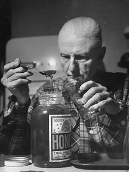 Balsirke Dr. DeForest C. Jarvis tarafndan 1959?da retilen Balsirke adndan da anlalabilecei gibi eit miktarlarda kartrlm bal ve elma sirkesinden oluuyordu. Jarvis ilhamn ok salkl olduklarna inand Vermontlu iftilerin iki alkanlklarndan almt. Bu iren reete ok fazla hayran toplamad ancak hala ien kiiler bulmak mmkn. Ancak sala faydal olduu da gerek olabilir. Hem bal hem de elma sirkesi nemli miktarda antioksidan ieriyor ve artrit gibi hastalklarn tedavisinde kocakar ilac olarak kullanlabiliyor.