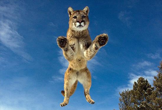 <b>�lk kez bu kadar yak�n</b>