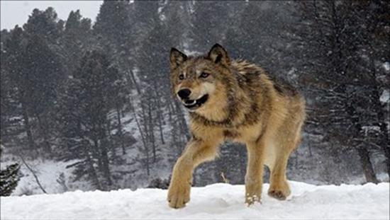 <b>�lk kez bu kadar yak�n</b>