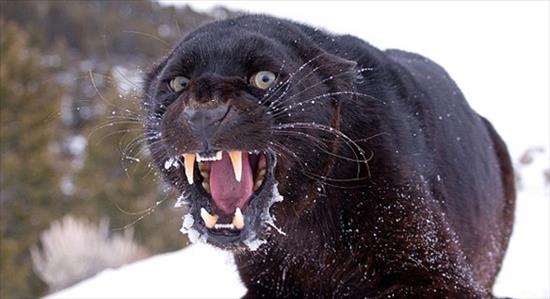 <b>�lk kez bu kadar yak�n</b>