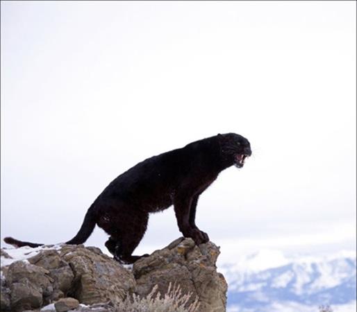 <b>�lk kez bu kadar yak�n</b>