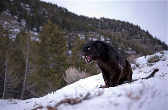 <b>�lk kez bu kadar yak�n</b>