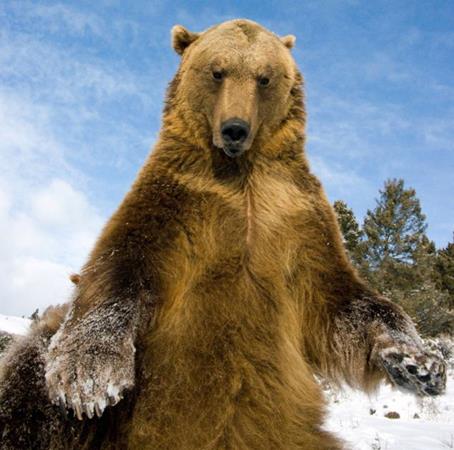 <b>�lk kez bu kadar yak�n</b>