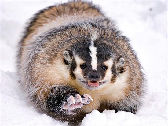 <b>�lk kez bu kadar yak�n</b>