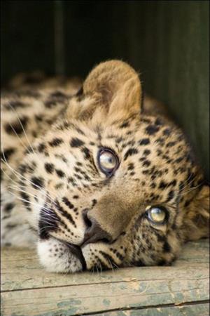 <b>�lk kez bu kadar yak�n</b>