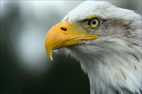 <b>�lk kez bu kadar yak�n</b>