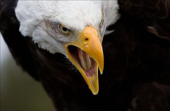 <b>�lk kez bu kadar yak�n</b>