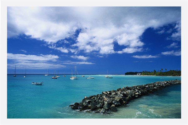 84- Trinidad Tobacco