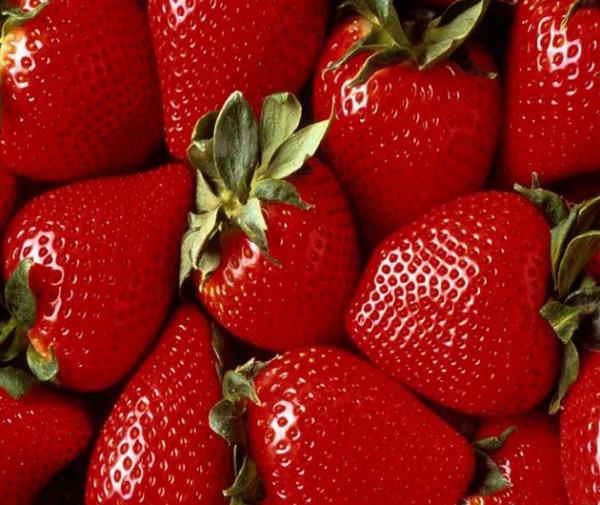 ilek: Sigara dumannn etkilerini azaltr. Sigara iilen bir odadayken gn boyunca aza iki ilek atlmas nerilir.