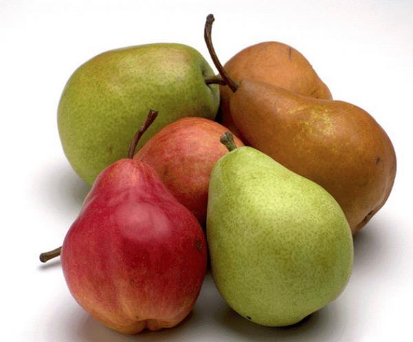 Armut: Kalp - damar sal, alak kan basnc ve fiziksel performansa iyi gelen vitaminleri barndrr.