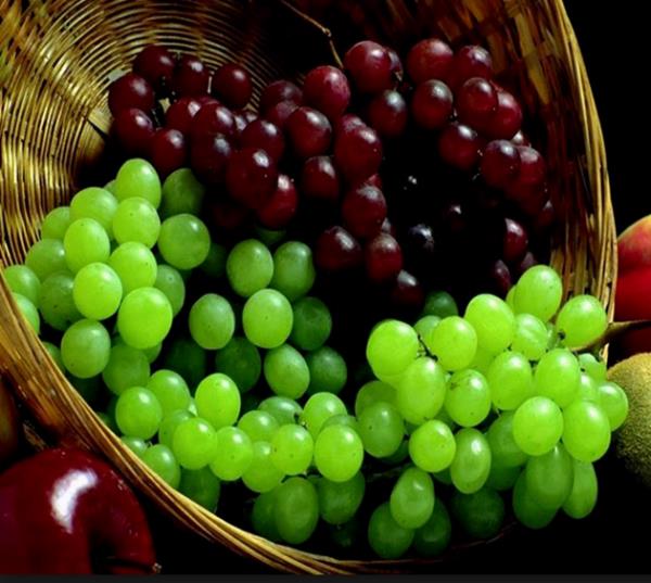 zm: Bbreklerin almasn uyarp kalp atn dzenler. Karacieri temizler. Siyah zm kabuklar ve ekirdekleriyle yenirse hcre yenileyicidir.