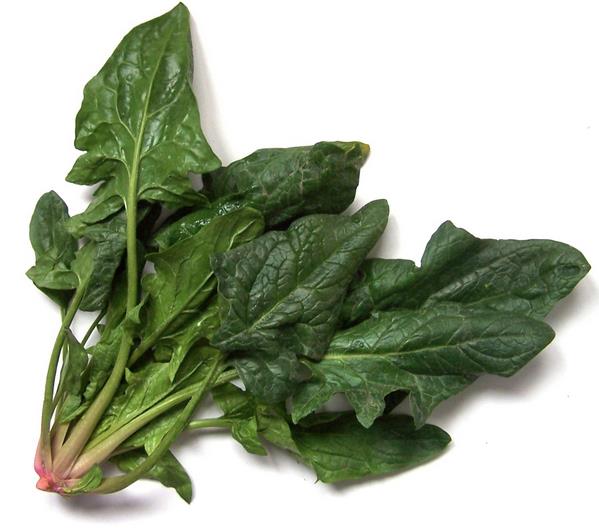 Ispanak: Karacieri, lenf bezlerini ve kan dolamn uyarr.