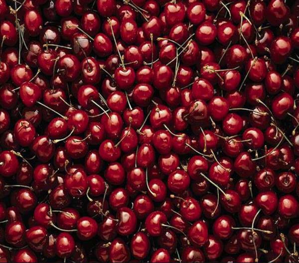 Kiraz: Kolesterol drr, zellikle saplar idrar sktrcdr.