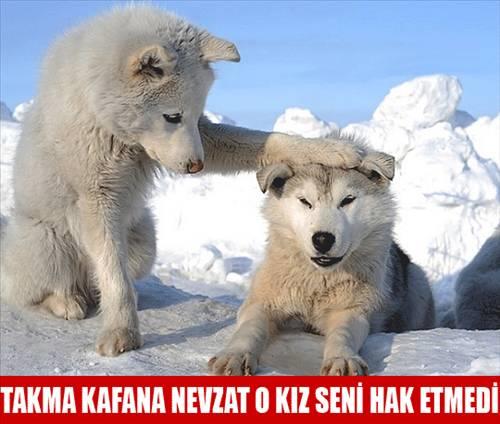 <b>Bu kareler rekor kryor</b>