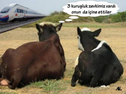 <b>Bu kareler rekor kryor</b>