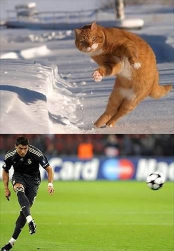 <b>Bu kareler rekor kryor.</b>