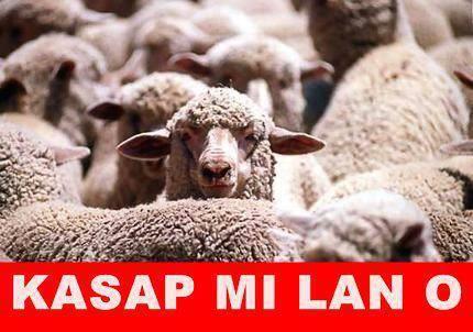 <b>Bu kareler rekor kryor</b>