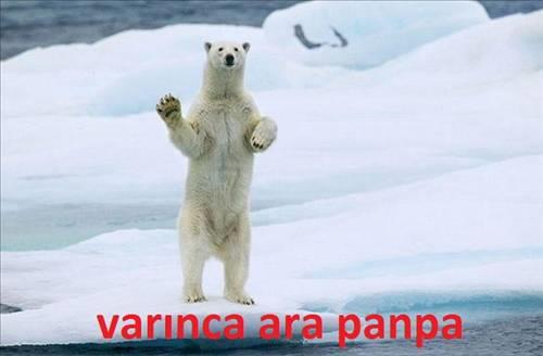 <b>Bu kareler rekor kryor</b>