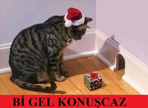 <b>Bu kareler rekor kryor.</b>