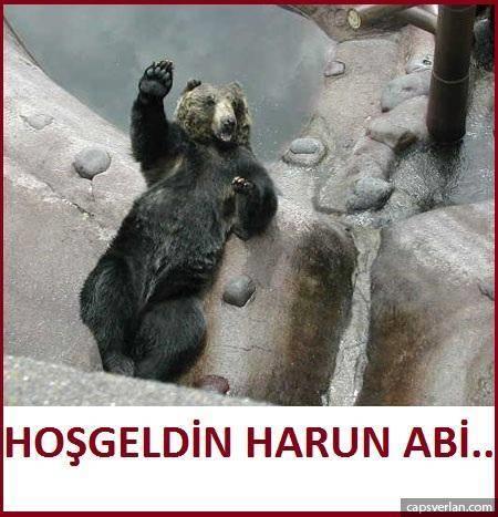 <b> Bu kareler rekor kryor </b>