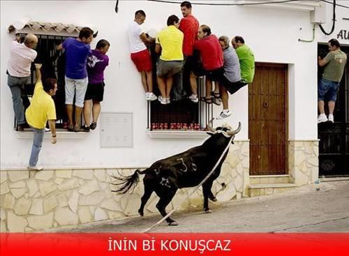 <b>Bu kareler rekor kryor.</b>