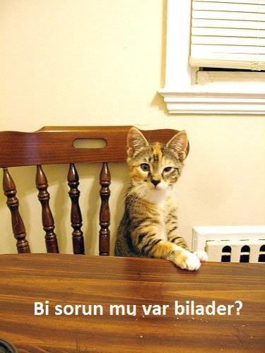 <b>Bu kareler rekor kryor.</b>