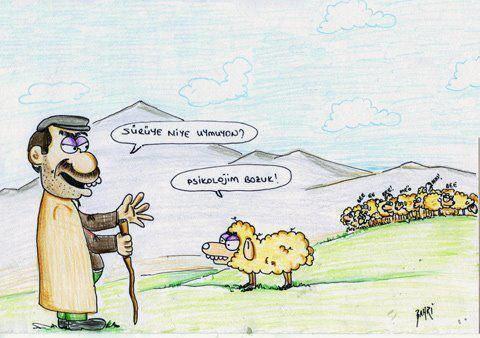 <b>Bu kareler rekor kryor </b>