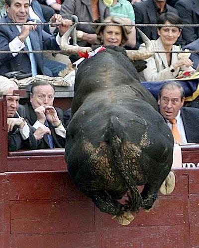 <b>Bu kareler rekor kryor </b>