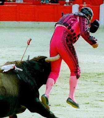 <b>Bu kareler rekor kryor </b>