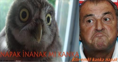 <b>Bu kareler rekor kryor.</b>