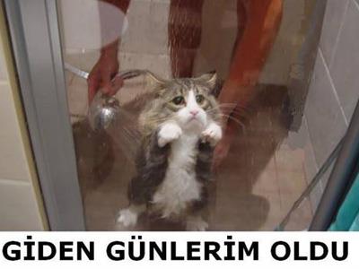 <b>Bu kareler rekor kryor.</b>