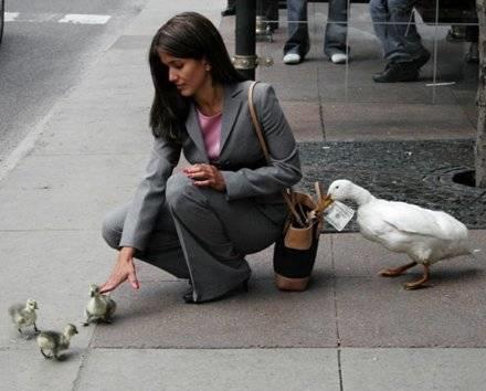 <b> Bu kareler rekor kryor </b>