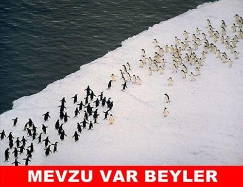 <b>Bu kareler rekor kryor</b>