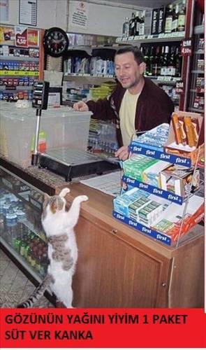 <b>Bu kareler rekor kryor</b>