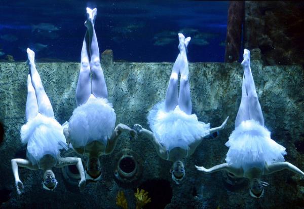 Sualtnda Kuu Gl (stanbul)-Erhan Elald