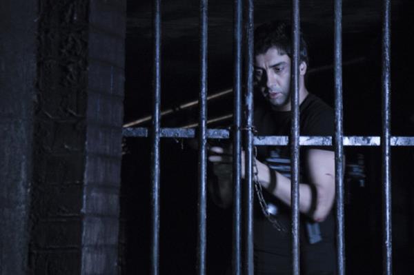 Patron yok! Deneksiz kyde kpek ok...