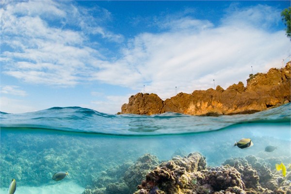 <p>15- Havai</p>  Havai fotoraflarnda deniz kaplumbaalar, palmiye aalar ve volkanik dalar dikkat ekti.