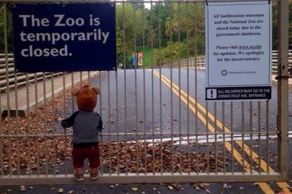 Washington Hayvanat Bahesi kapatld zaman, kameralara yakalanan yrek burkan bir ocuk..