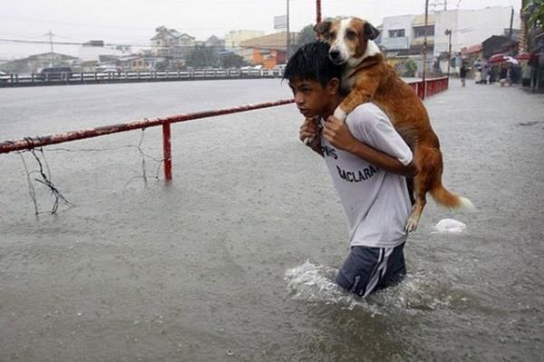 Manila, Filipinler'de bir ocuk kpeini sel sularndan kurtarrken