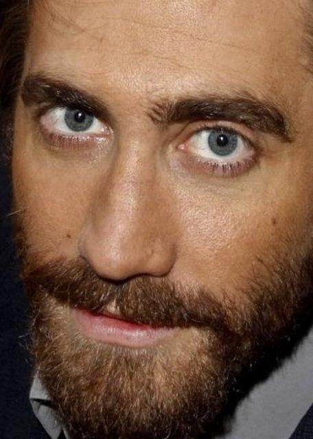 Jake Gyllenhaal