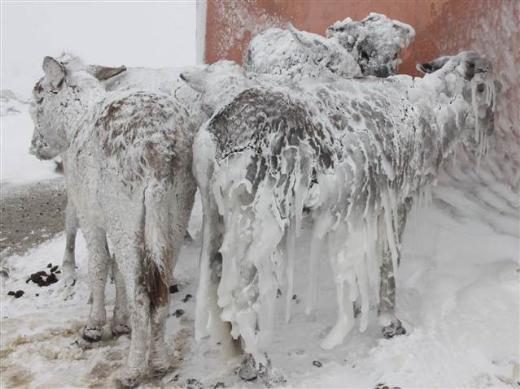 Siverek en yksek scaklk -2 derece olarak lld.